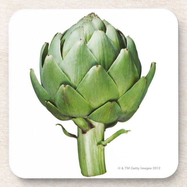 Globe Artichoke on White Background Cut Out Drink Coaster (Front)