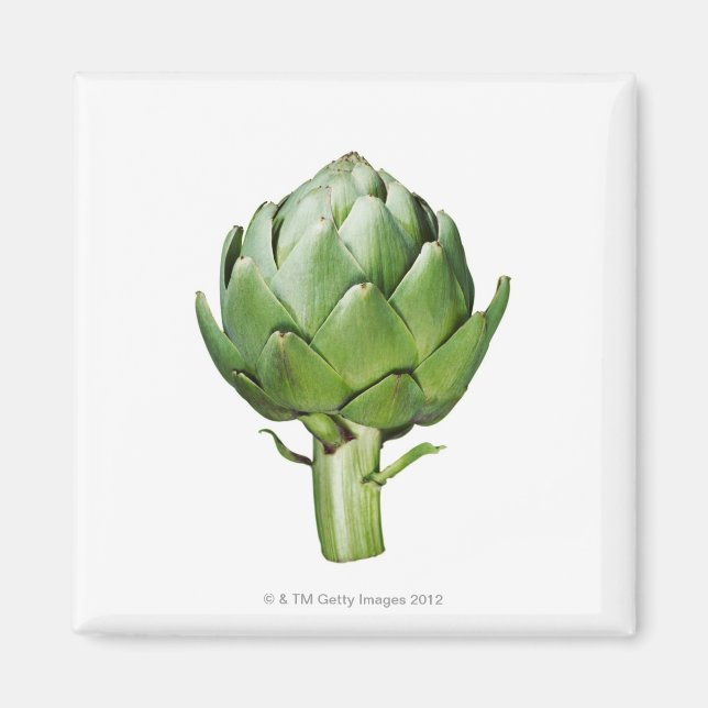 Globe Artichoke on White Background Cut Out Magnet (Front)