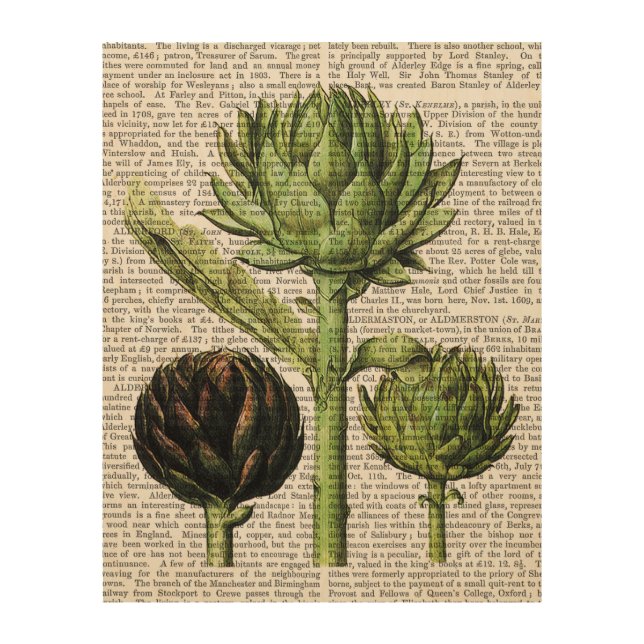 Globe Artichoke Print (Front)