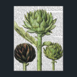 Globe Artichoke Print 2 Postcard<br><div class="desc">Kitchen & Bath</div>