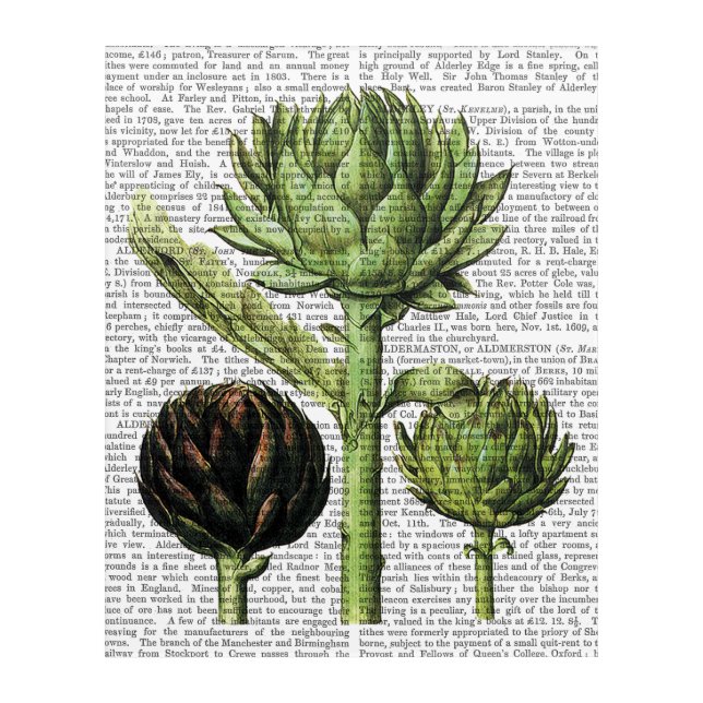 Globe Artichoke Print Acrylic Print (Front)