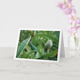 Globe Artichoke Thistle Plant Card