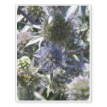 Globe Thistle Temporary Tattoos