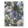 Globe Thistle Temporary Tattoos