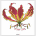 Gloriosa superba, Fire Lily, Flower
