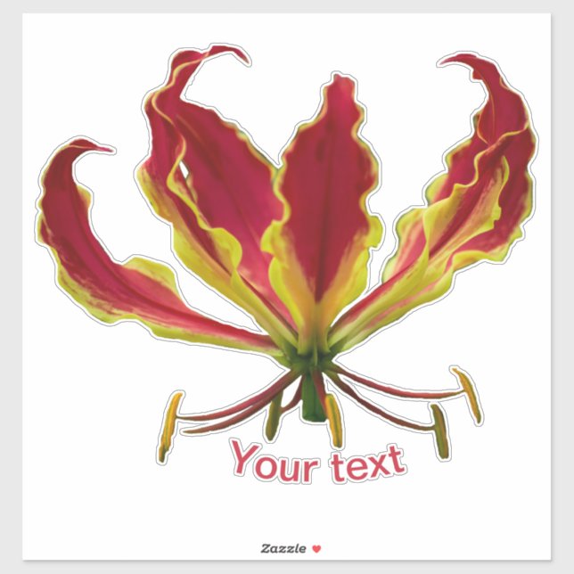 Gloriosa superba, Fire Lily, Flower Sticker (Sheet)