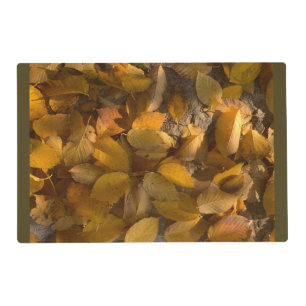 Glorious Autumn on a Laminated Placemat (1)