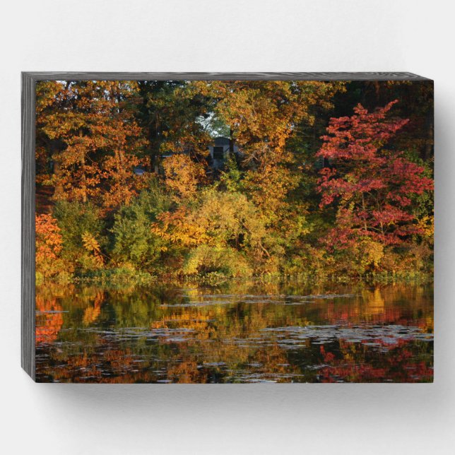 Glorious Fall on the River Wooden Box Sign (Front Horizontal)
