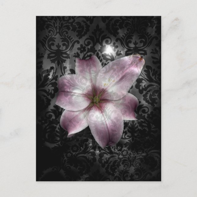 Glorious Mystery Postcard (Front)