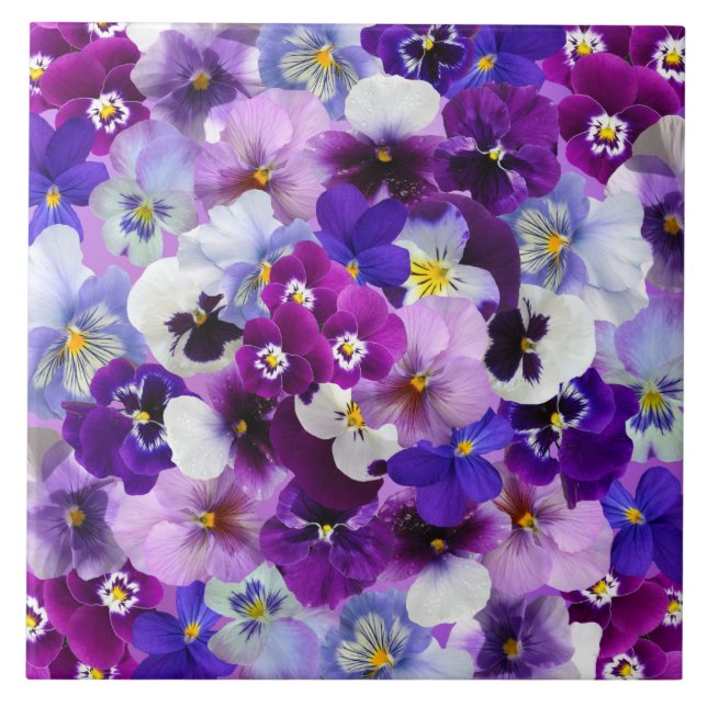 Glorious Pansies Ceramic Tile (Front)