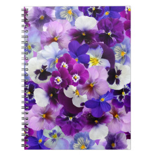 Glorious pansies, pretty and colorful, notebook