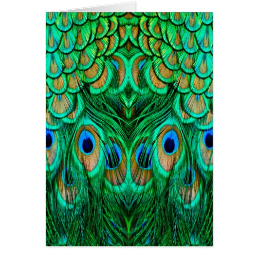 Glorious Peacock Feathers Cards (Front)
