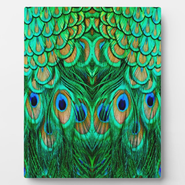 Glorious Peacock Feathers Plaque (Front)