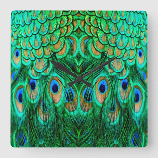 Glorious Peacock Feathers Square Wall Clock (Front)