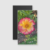 Glorious Pink Summer Bloom (Front/Back)