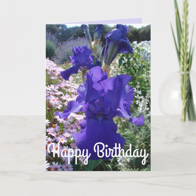Glorious Purple Iris Flower Floral Birthday Card (Front)