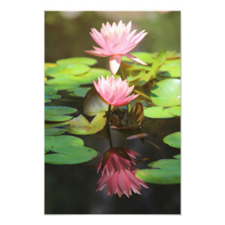 Glorious Reflections Photo Print