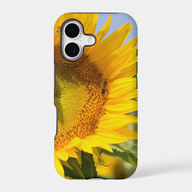 Glorious sunflowers! iphone case (Back)