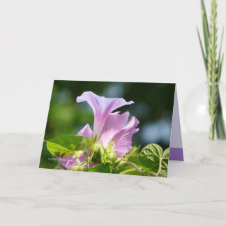 Glory of the Morning 2 Card