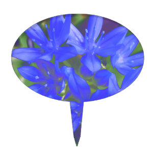 Glory of the Snow Fluorescent Blue Cake Pick