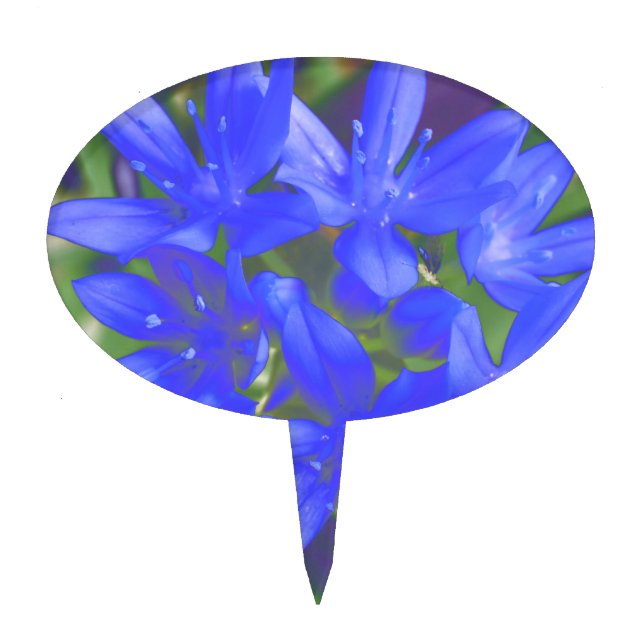 Glory of the Snow Fluorescent Blue Cake Pick (Front)