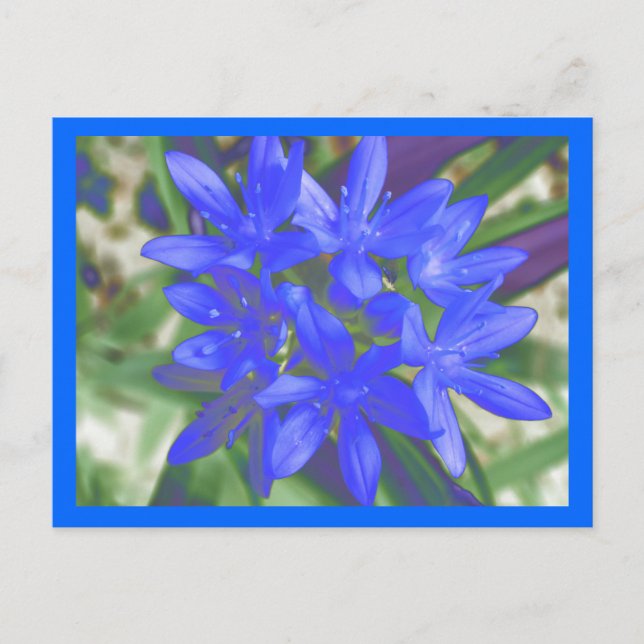 Glory Of The Snow Fluorescent Blue Postcard (Front)