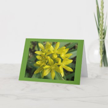 Glory Of The Snow Greeting Card by Fallen_Angel_483 at Zazzle
