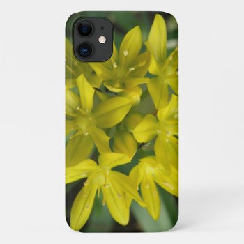 Glory Of The Snow Iphone 3 Case by Fallen_Angel_483 at Zazzle