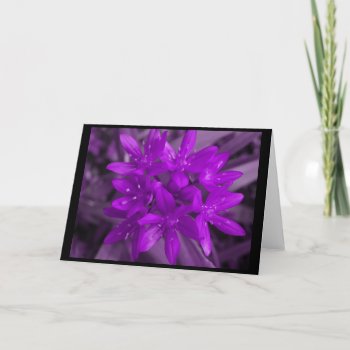 Glory Of The Snow Purple Greeting Card by Fallen_Angel_483 at Zazzle