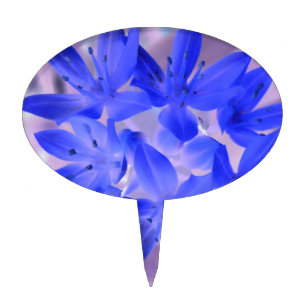 Glory of the Snow Shocking Blue Cake Pick