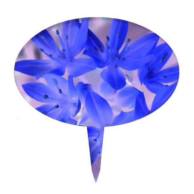 Glory of the Snow Shocking Blue Cake Pick (Front)