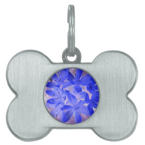 Glory of the Snow Shocking Blue Pet Tag