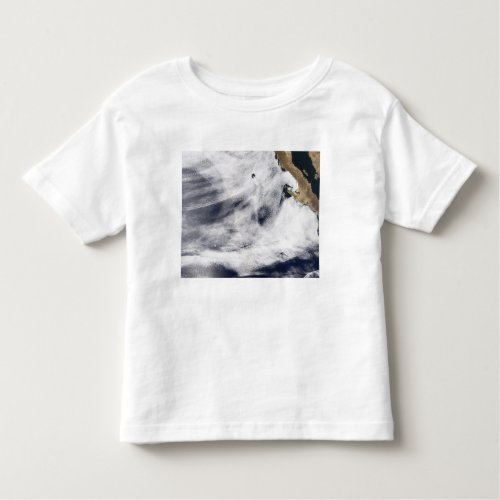 Glory over the Pacific Ocean Toddler T_shirt