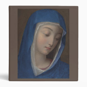 glory to the queen of heaven throw pillow 3 ring binder
