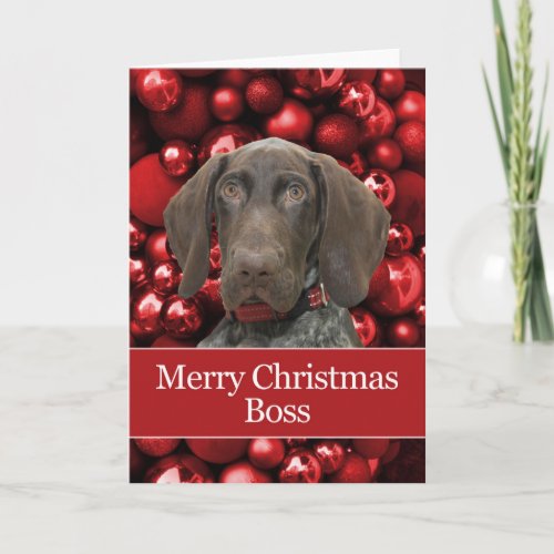Glossy Grizzly Boss Merry Christmas Holiday Card