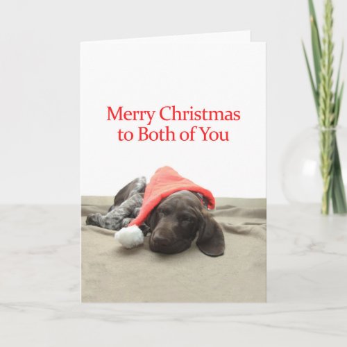 Glossy Grizzly Both of You Merry Christmas Holiday Card