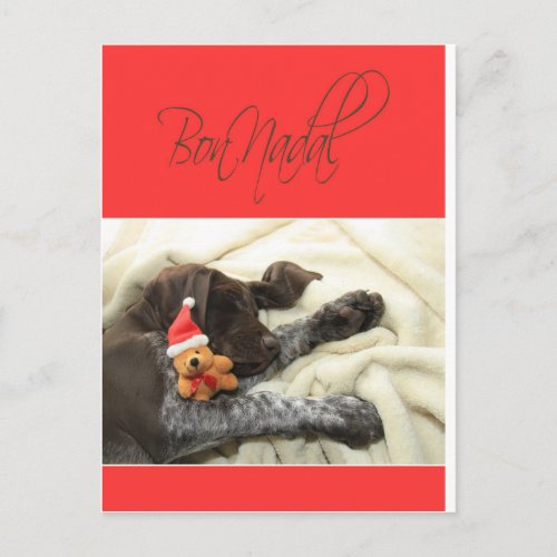 Glossy Grizzly Christmas Bon Nadal Holiday Postcard