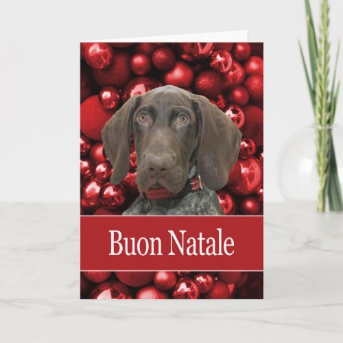 Glossy Grizzly Christmas Buon Natale Holiday Card