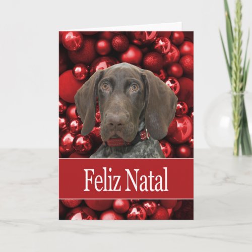 Glossy Grizzly Christmas Feliz Natal Holiday Card