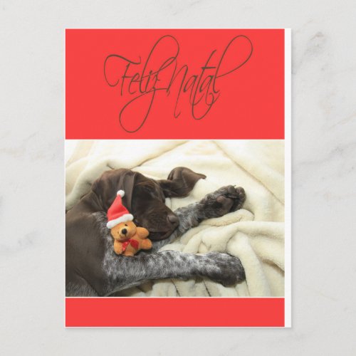 Glossy Grizzly Christmas Feliz Natal Holiday Postcard