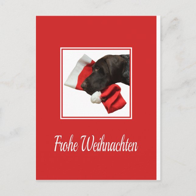 Glossy Grizzly Christmas Frohe Weihnachten Holiday Postcard (Front)