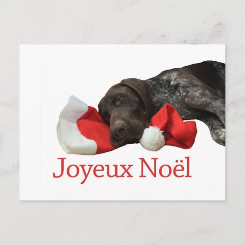 Glossy Grizzly Christmas Joyeux Nol Holiday Postcard