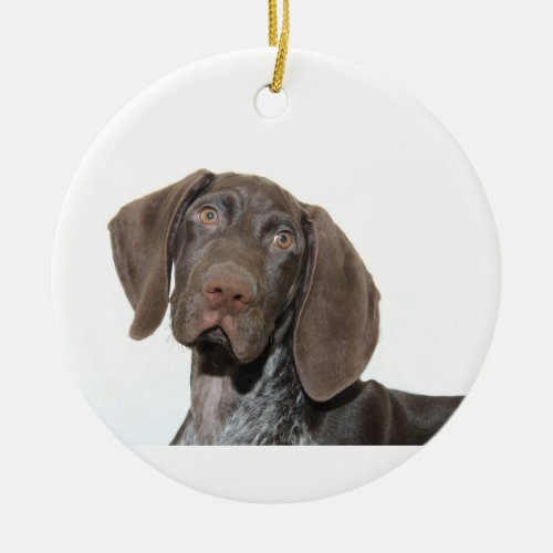 Glossy Grizzly Christmas Ornament