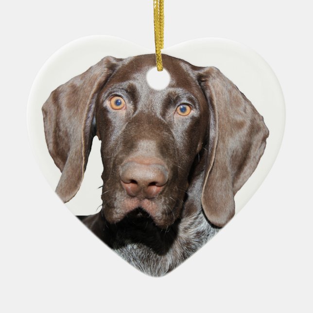 Glossy Grizzly Christmas Ornament (Front)