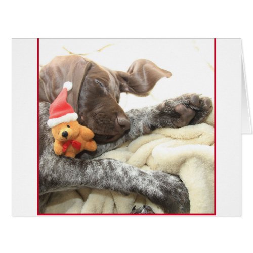 Glossy Grizzly Christmas Pointer
