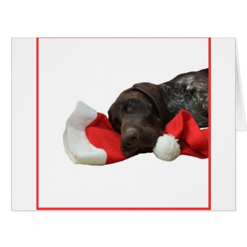 Glossy Grizzly Christmas Pointer