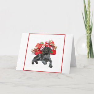 Glossy Grizzly Christmas Pointer Holiday Card