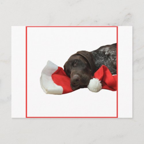 Glossy Grizzly Christmas Pointer Holiday Postcard