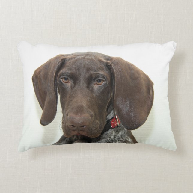 Glossy Grizzly Decorative Pillow (Front)