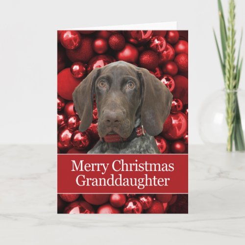 Glossy Grizzly Granddaughter Merry Christmas Holiday Card